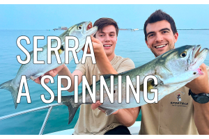 Come si pesca il pesce serra a spinning. Guida pratica 2024